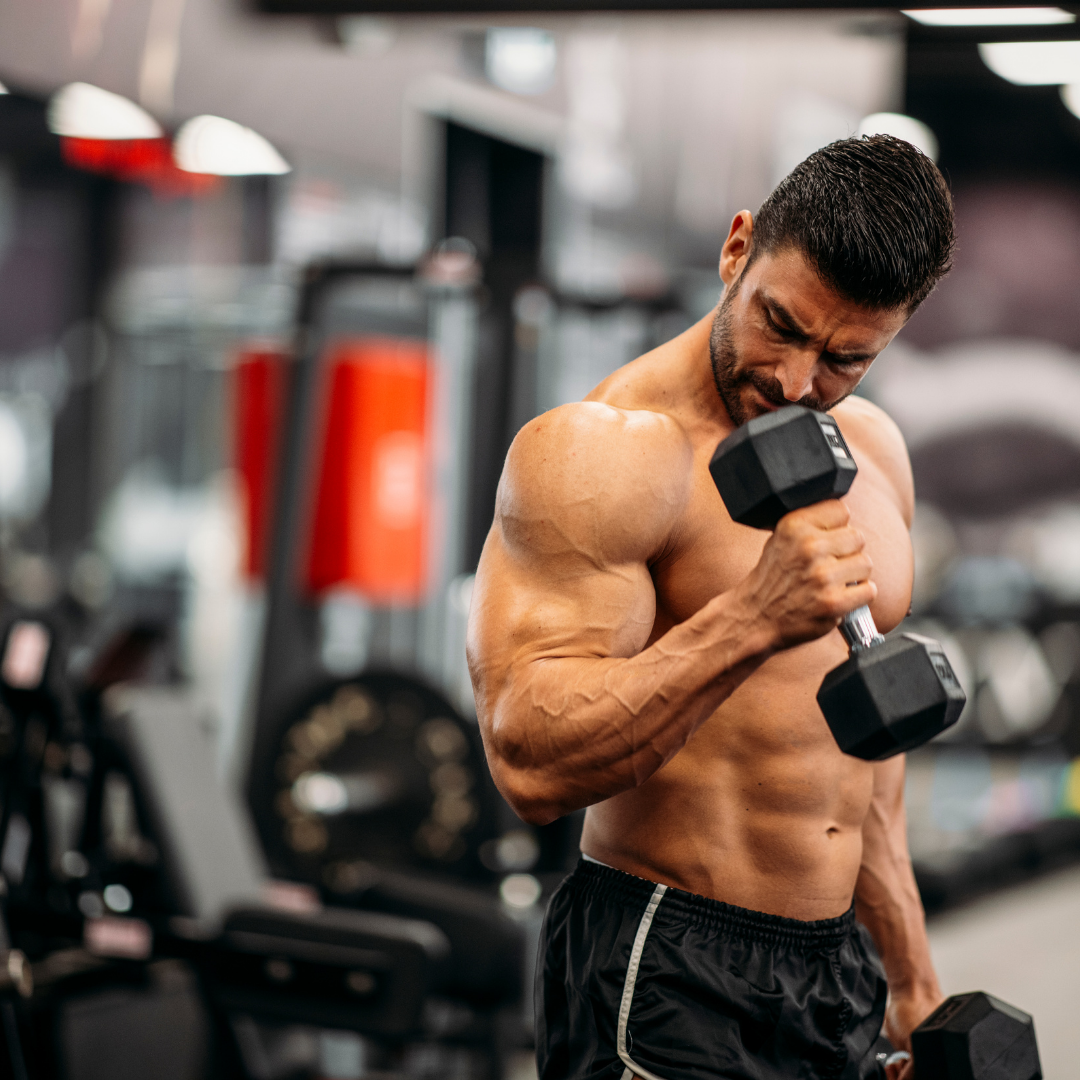 Entrenamiento Híbrido (42)